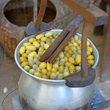 Koza bir tencerede kaynar 