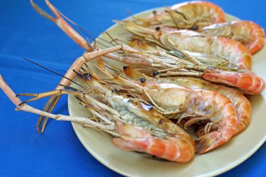 ızgara karides, büyük nehir karides ızgara 