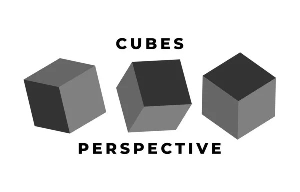 Ícone Cubo Definido Com Perspectiva Modelo Cubo Ilustração Vetorial Isolado —  Vetores de Stock