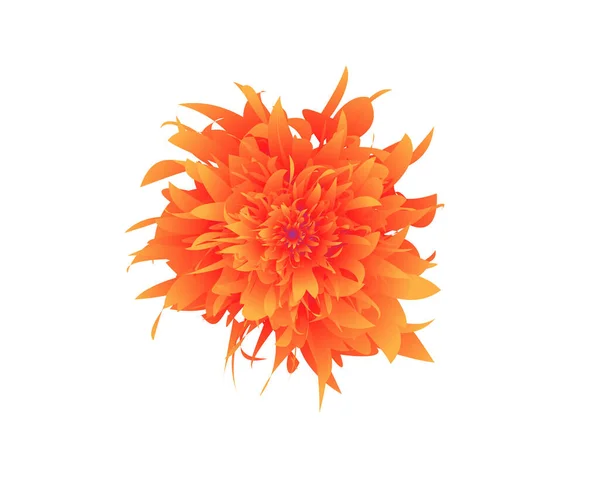 Orange Red Flower Watercolor Floral Illustration Floral Decorative Element Vector — 图库矢量图片