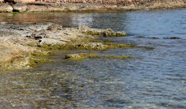 plajlar ve koylar Ibiza.