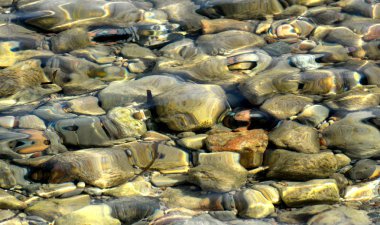 plajlar ve koylar Ibiza.