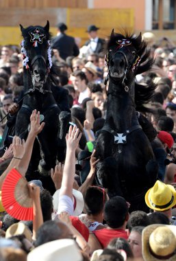 şenlikleri sant joan ciutadella, menorca içinde