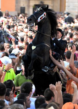 şenlikleri sant joan ciutadella, menorca içinde