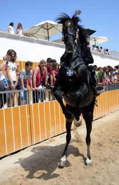 şenlikleri sant joan ciutadella, menorca içinde