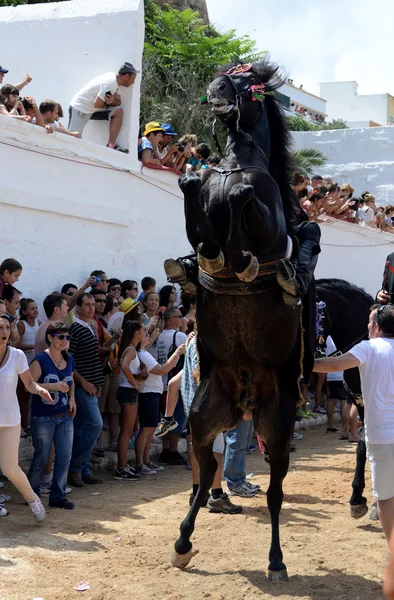 Fiestas de Sant Joan en Ciutadella, Menorca — Foto de Stock