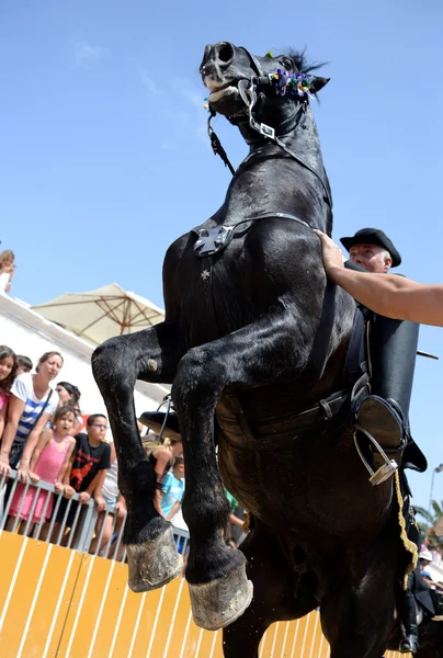 Fiestas de Sant Joan en Ciutadella, Menorca — Foto de Stock