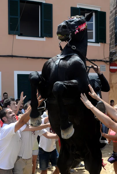 Feesten van sant joan in ciutadella, menorca — Stockfoto