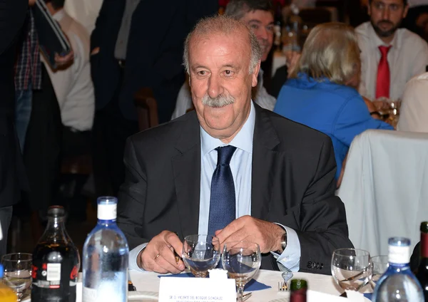 Vicente del Bosque, entrenador de selección de fútbol español — Foto de Stock