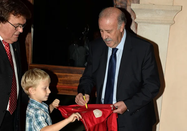 Vicente del Bosque, entrenador de selección de fútbol español —  Fotos de Stock