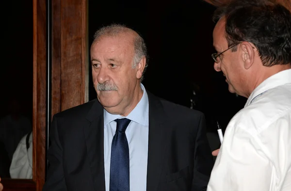 Vicente del Bosque, entrenador de selección de fútbol español — Foto de Stock