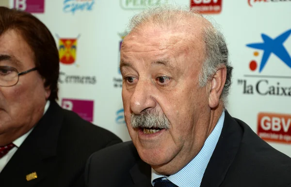 Vicente del Bosque, spansk fotboll val av coach — Stockfoto