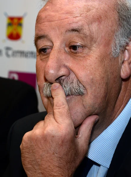 Vicente del Bosque，西班牙足球选择教练 — 图库照片