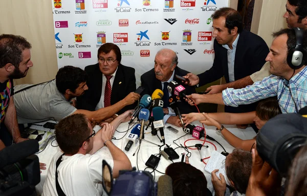 Vicente del Bosque, treinador espanhol de seleção de futebol — Fotografia de Stock