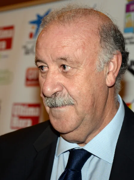 Vicente del Bosque，西班牙足球选择教练 — 图库照片