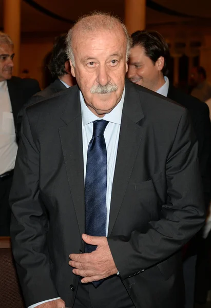Vicente del Bosque, allenatore di calcio spagnolo — Foto Stock