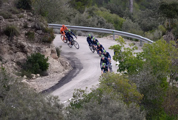 Majorca Challenge cyclist 2015 — Stock Photo, Image