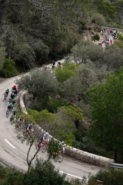 Mallorca utmaning cyklist 2015 — Stockfoto