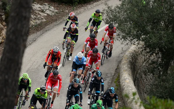 Mallorca Challenge ciclista 2015 —  Fotos de Stock