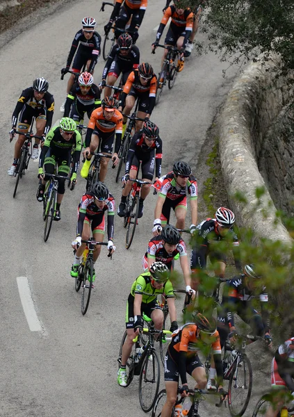 Mayorka Challenge bisikletçi 2015