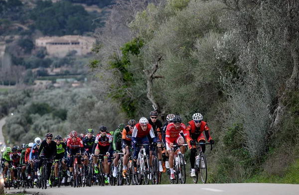 Mallorca uitdaging wielrenner 2015 — Stockfoto