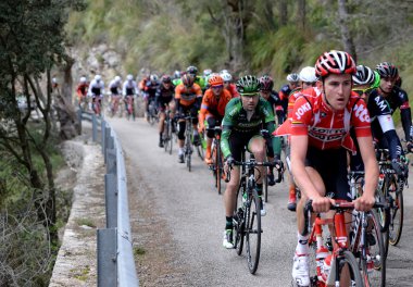 Mayorka Challenge bisikletçi 2015