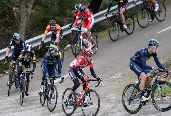 Maiorca Challenge ciclista 2015 — Foto Stock