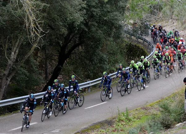 Mallorca utmaning cyklist 2015 — Stockfoto