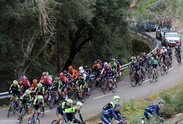 Ciclista do Desafio de Maiorca 2015 — Fotografia de Stock