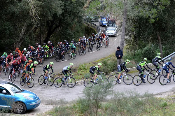 Majorca Challenge cyclist 2015 — Stock Photo, Image