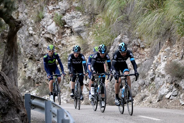 Mallorca Challenge ciclista 2015 —  Fotos de Stock