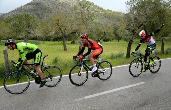 Maiorca Challenge ciclista 2015 — Foto Stock