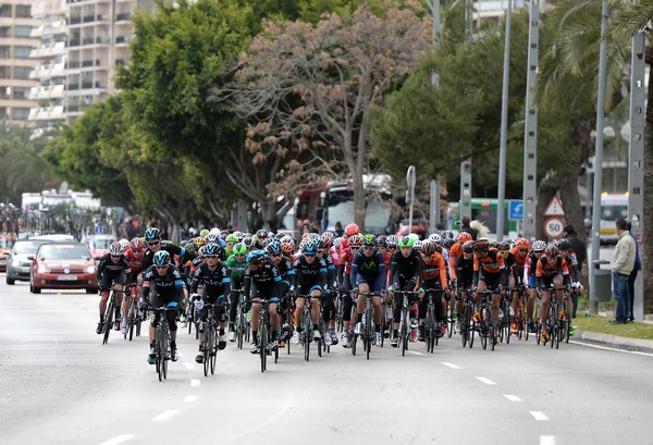 Mallorca utmaning cyklist 2015 — Stockfoto