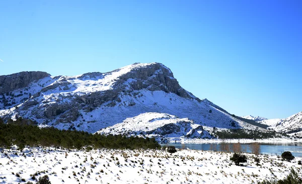 Heavy snowfall in the Sierra de Tramuntana in Mallorca, Spain. — Stock Photo, Image