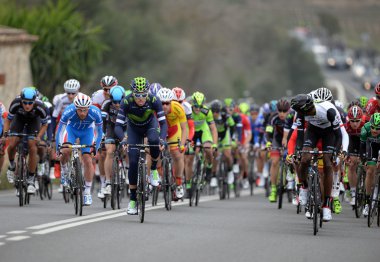 Mayorka bisikletçiler