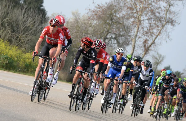 Cyklister i Mallorca — Stockfoto