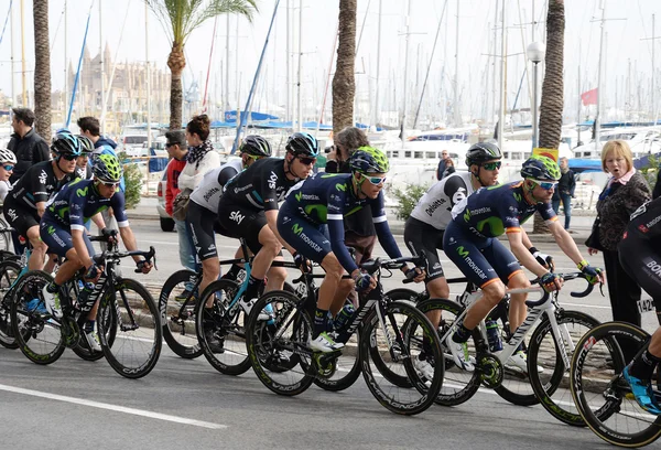 Cyklister i Mallorca — Stockfoto