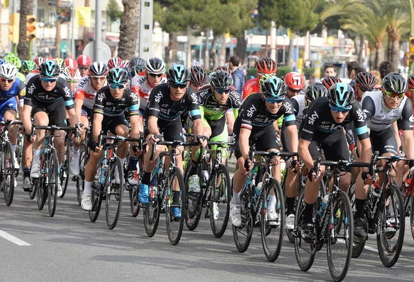 Cyklister i Mallorca — Stockfoto