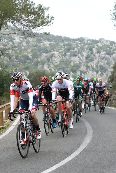 Cyklister i Mallorca — Stockfoto