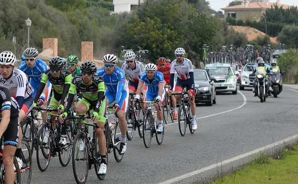 Rowerzyści w Majorka — Zdjęcie stockowe