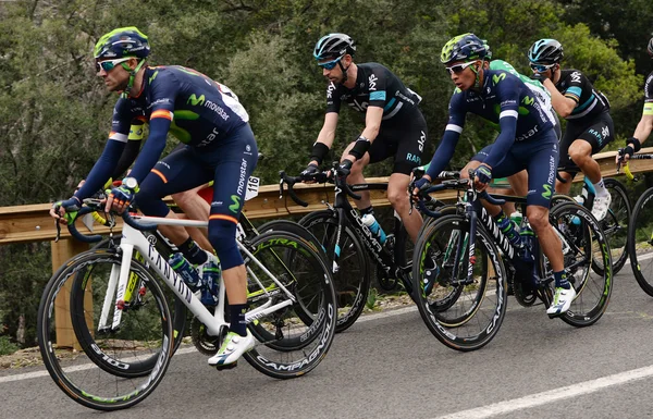 Cyclistes en Majorque Photo De Stock