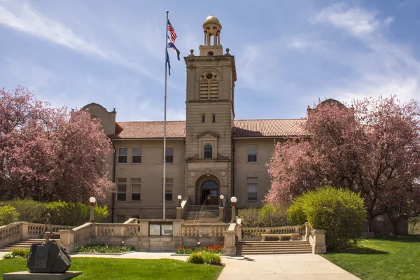 Colorado okul mayın Hall bahar çiçek