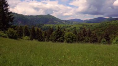 Karpat Dağları, Transcarpathia, Synevyr Geçidi 