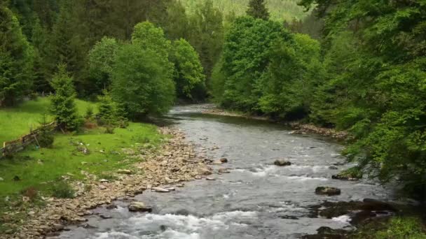 カルパティアの美しい山の川 — ストック動画