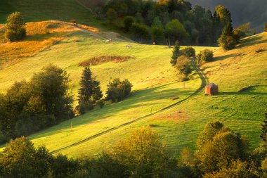 Karpatlar içinde emekliye