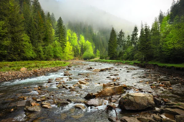 Río de montaña — Foto de Stock