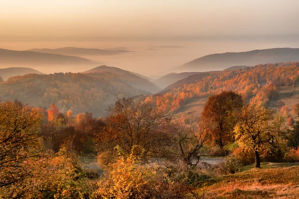 Otoño en las montañas — Foto de Stock