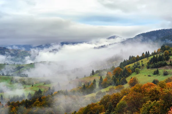 Herbstnebel in Karpaten — Stockfoto