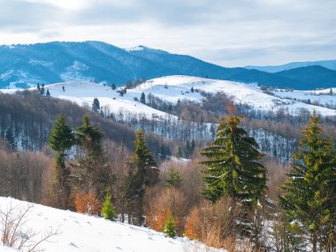 Kış karlı dağlar