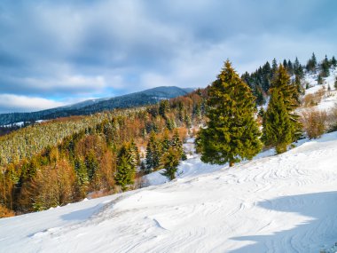 Kış karlı dağlar